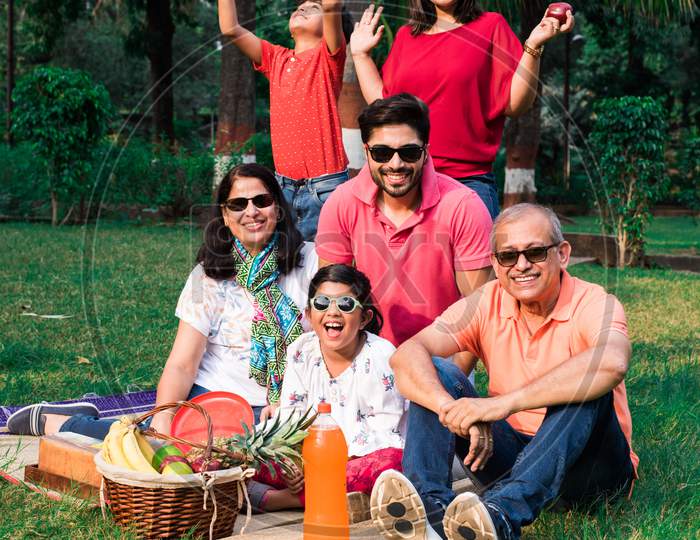 Indian Family enjoying picnic / outing