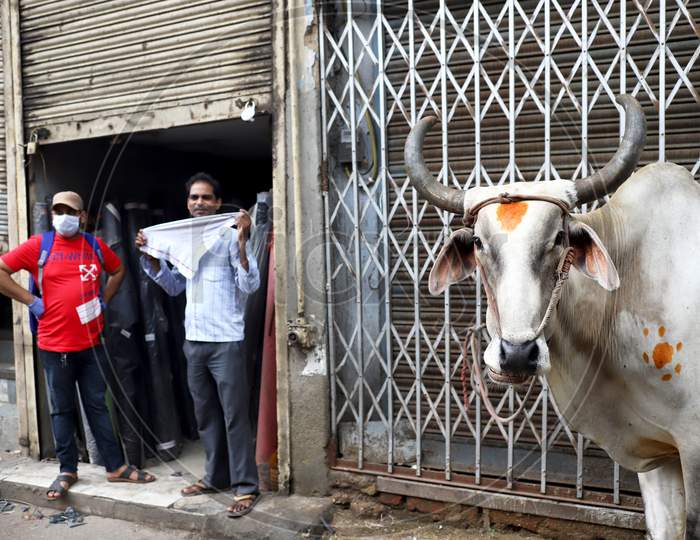 A man wears a mask while he stands next to an ox in Paharganj in New Delhi on July 07, 2020