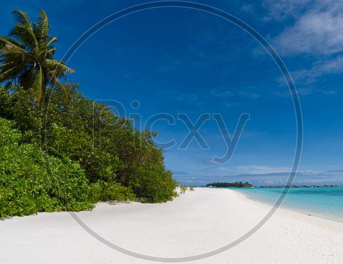 Image of an empty white sand beach on a Maldivian island with palm trees near the shore