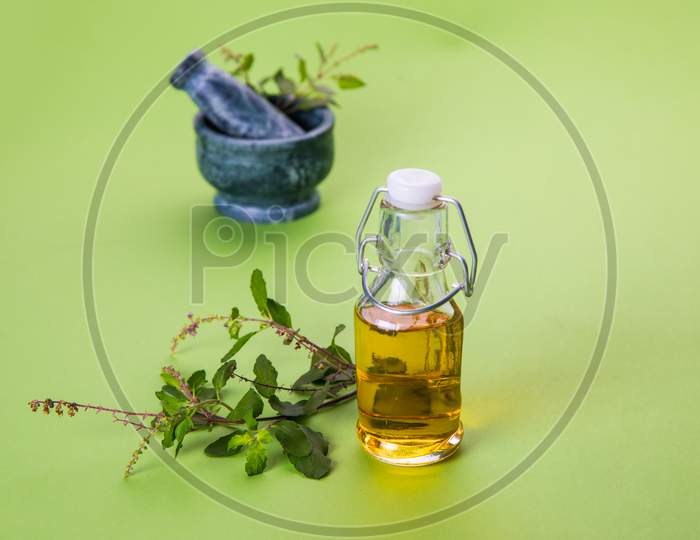 Ayurvedic Tulsi oil OR Holy Basil Oil