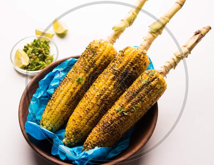 Indian street corn cob or Bhutta