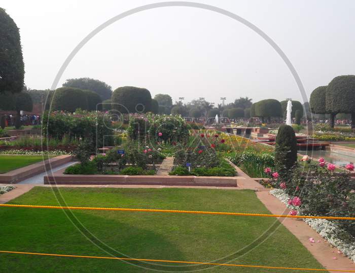 Green view in  Mugal garden Delhi in India