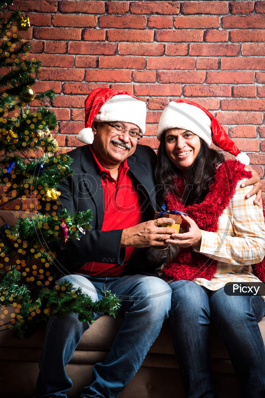 Indian Old couple celebrating Christmas / Xmas