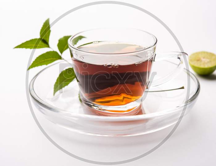 Neem Chai / Azadirachta indica Tea