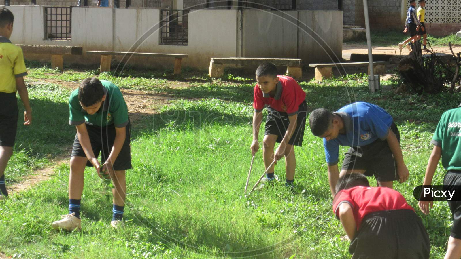 Community cleaning and maintenance of grass
