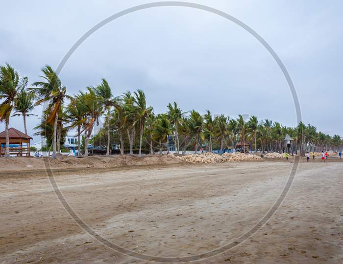 A beautiful sandy sea beach with many coconut trees beside .
