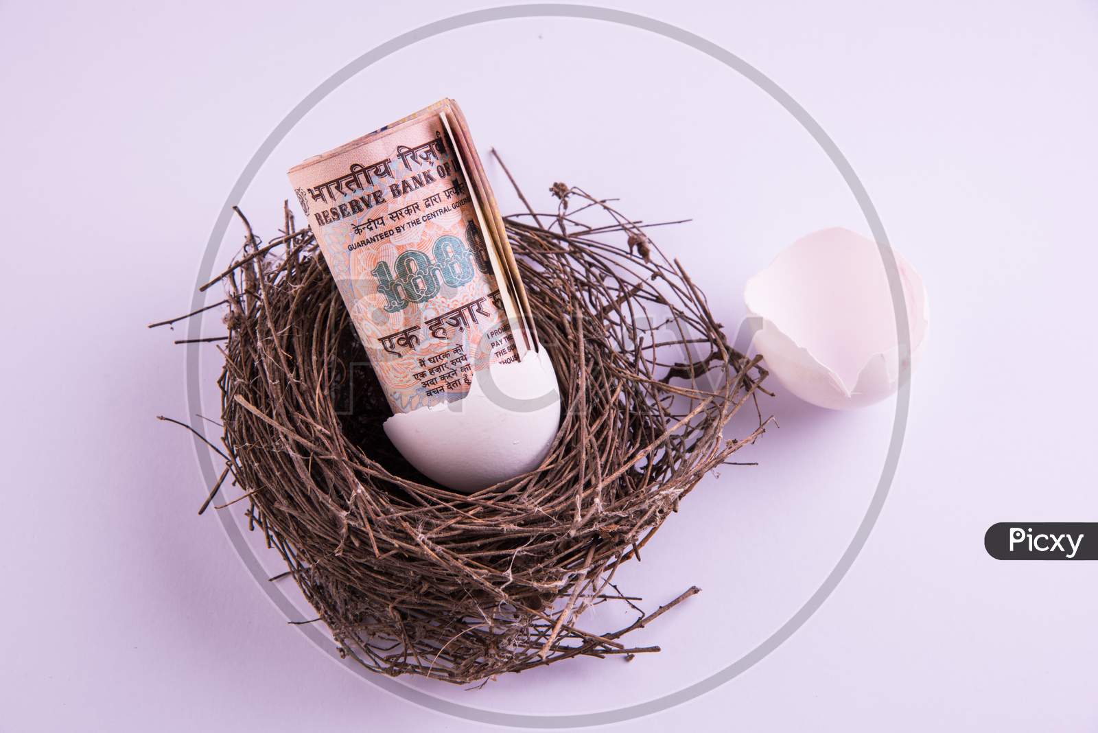 One thousand indian rupee note Coming Out from a Broken Egg in the Nest Against White Background