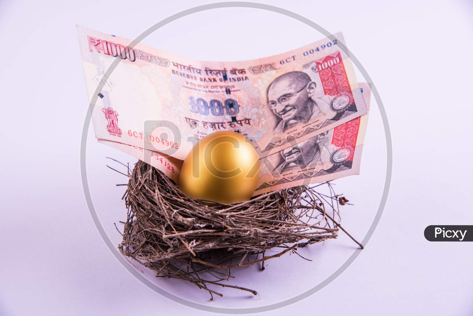 A golden egg sitting in a nest kept over indian currency notes