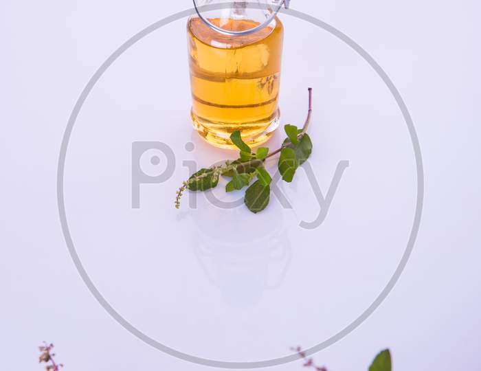Ayurvedic Tulsi oil OR Holy Basil Oil