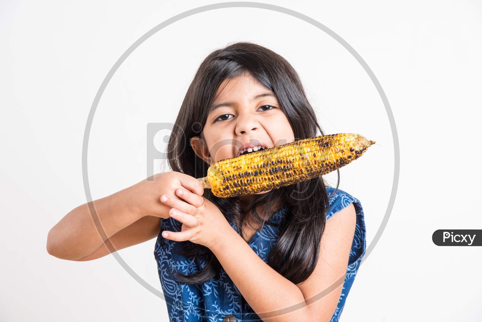 Cute little indian girl eating Grilled Corn or Bhutta, Standing isolated over white background