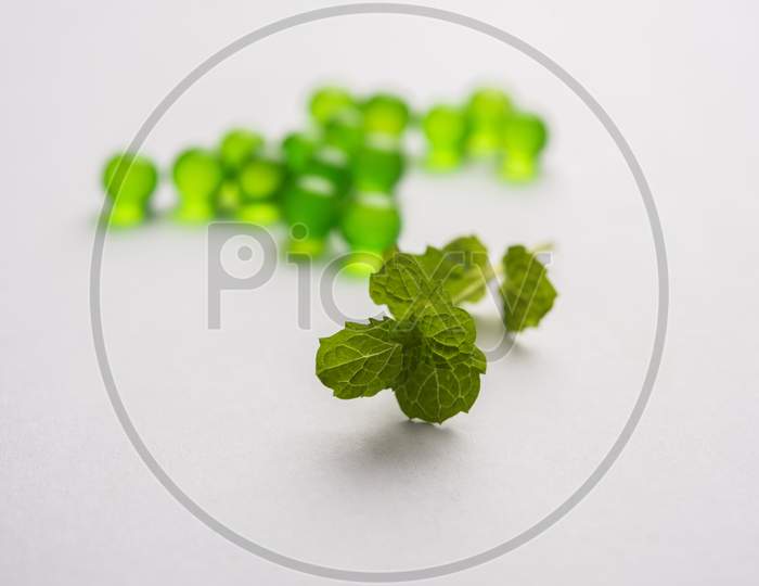 Pudina/mint leaves and pills