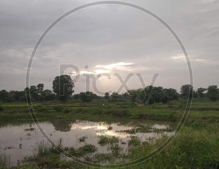 Sunset Reflection In Small Pond With Blue Sky In Monsoon