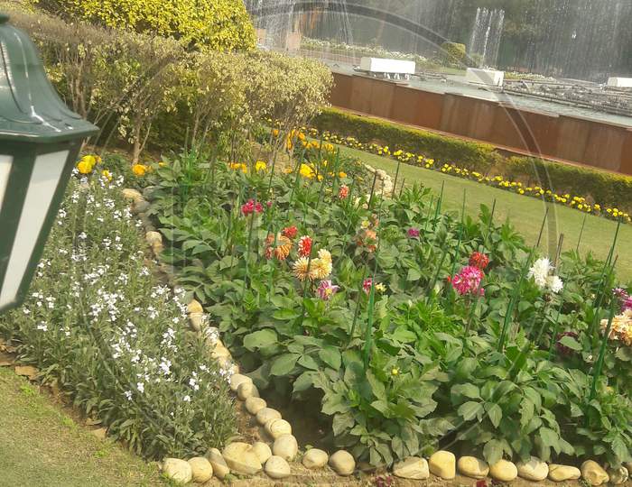 Green view in  Mugal garden