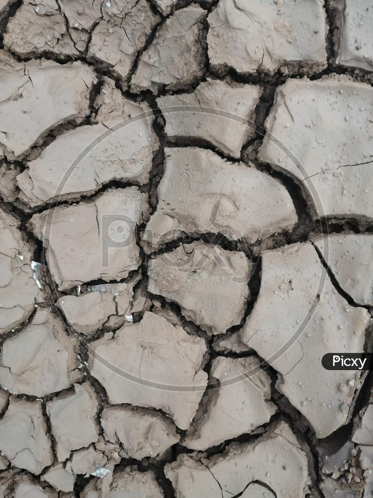 dry land - earth cracks in  agricultural land