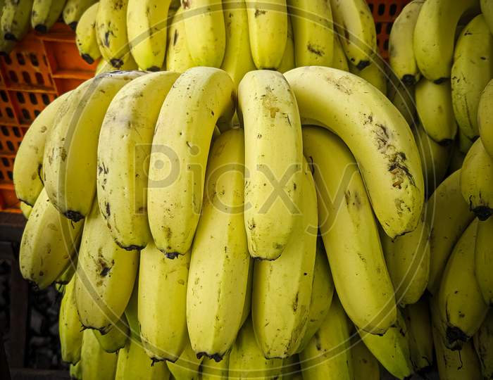 Bunch of fresh bananas in the market