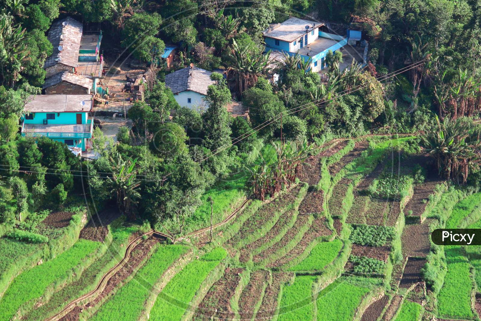 Image of A Landscape Photo Showing Terrace Farming In North India ...