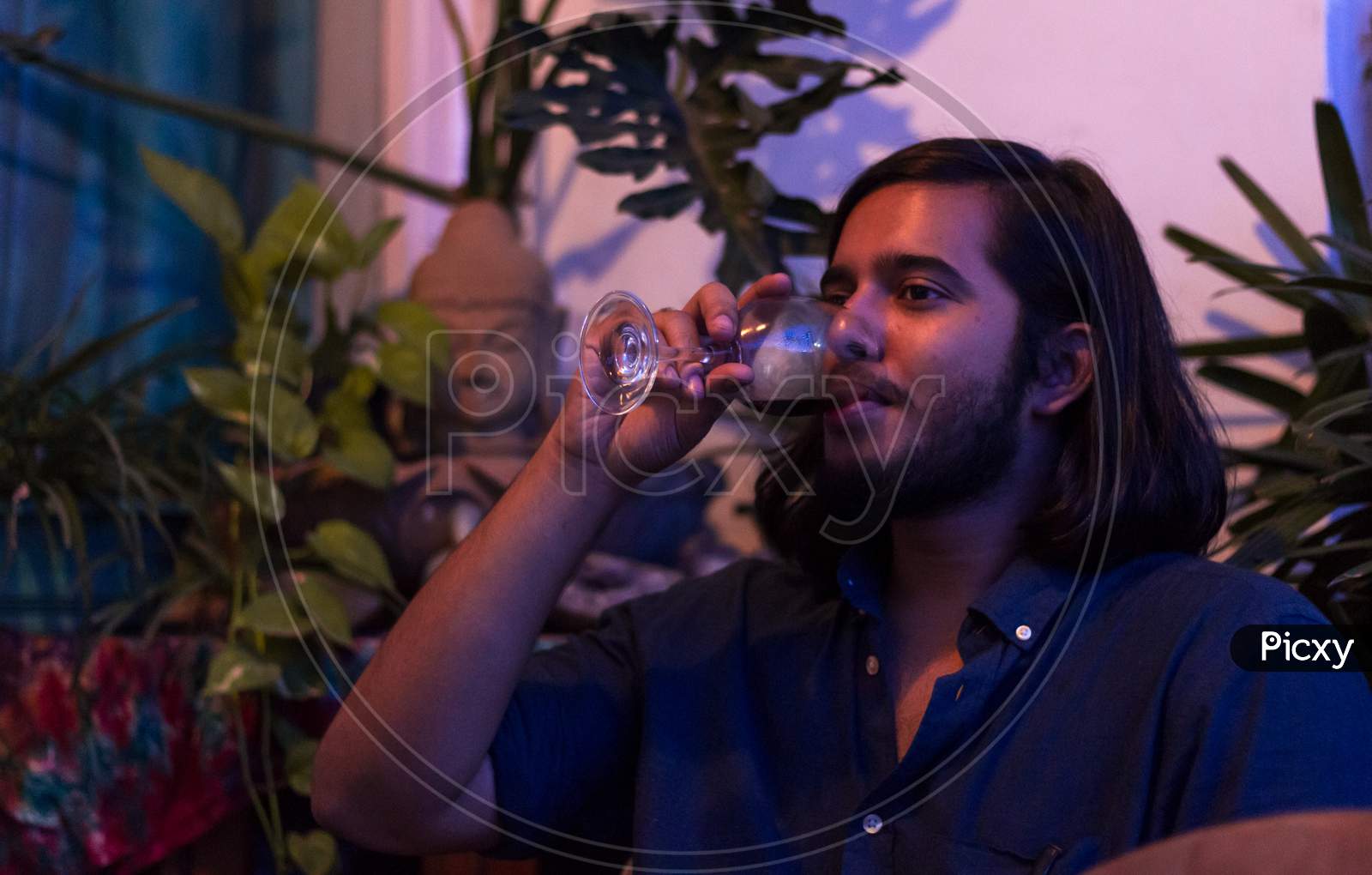 Young Man Drinking Red Wine At Home With Indoor Plants In Background.