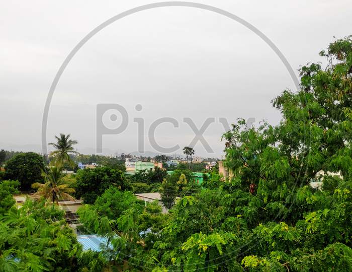 Green view of Vizianagaram Andhra Pradesh