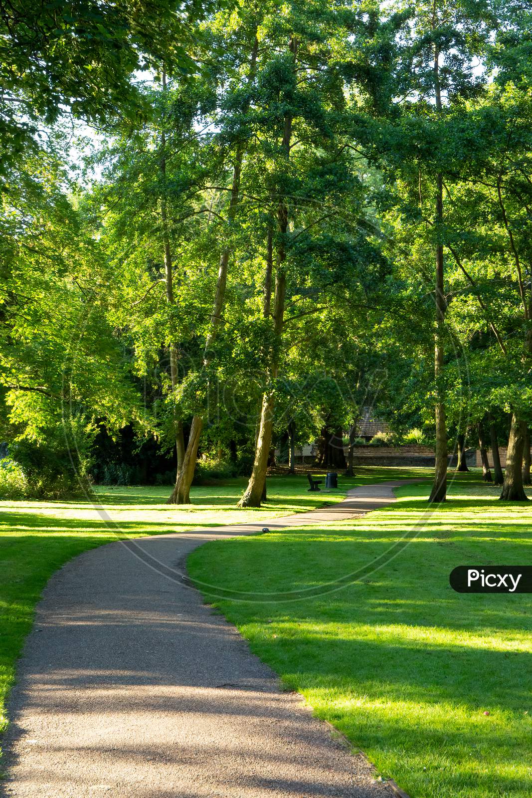 Pathway Meandering Across Green Grass Through Trees With Dappled Sunlight