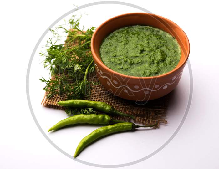 Kothimbir or Dhaniya Chutney made using Cilantro or coriander with chilli