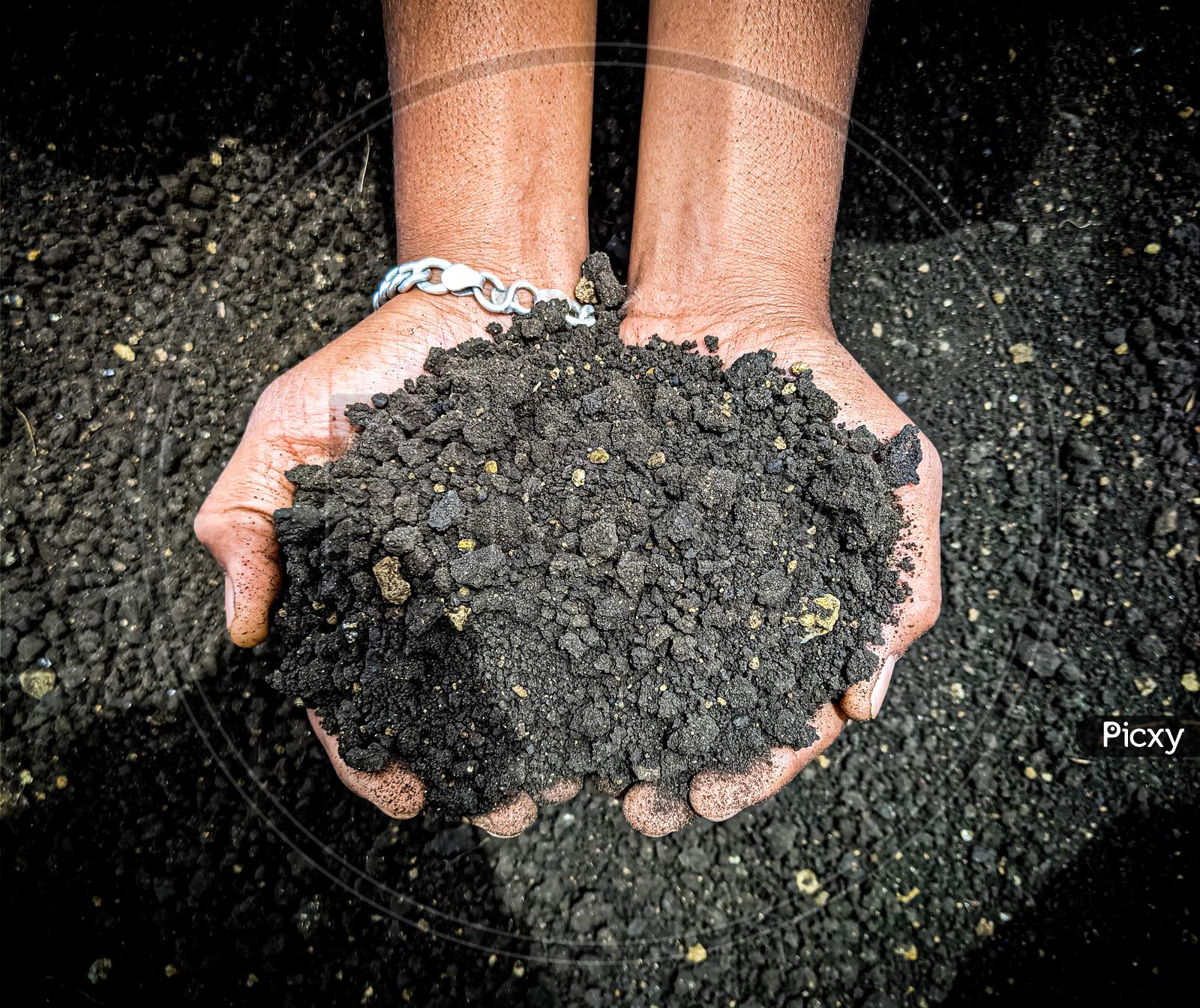 image-of-indian-black-soil-on-the-human-hand-fv950432-picxy