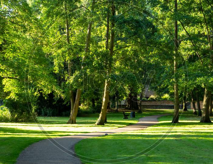 Pathway Meandering Across Green Grass Through Trees With Dappled Sunlight