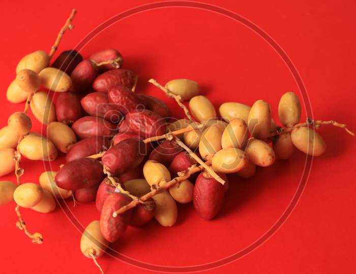 Date Palm Fruits isolated with Red Background