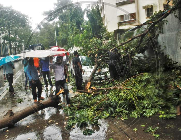 People walk over the collapsed tree after it fell on a car during heavy rain in Mumbai, India on July 7, 2020.
