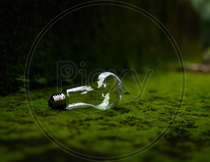A Bulb In A Green Grass Surface With Beautiful Blurry Background