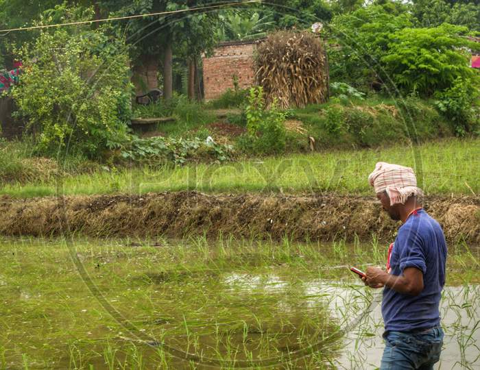 A laborer using mobile phone while working at paddy plantation filed
