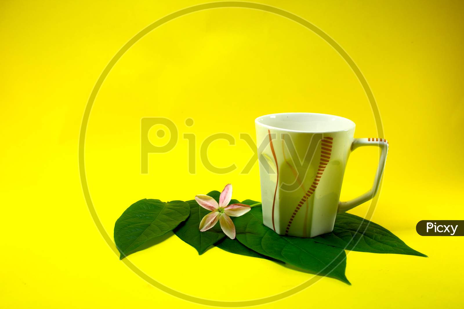 Tea or coffee cup with flowers and leaves
