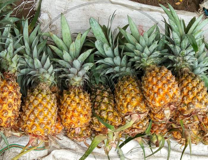Pineapple sell in market, ripe pineapple selling at local market