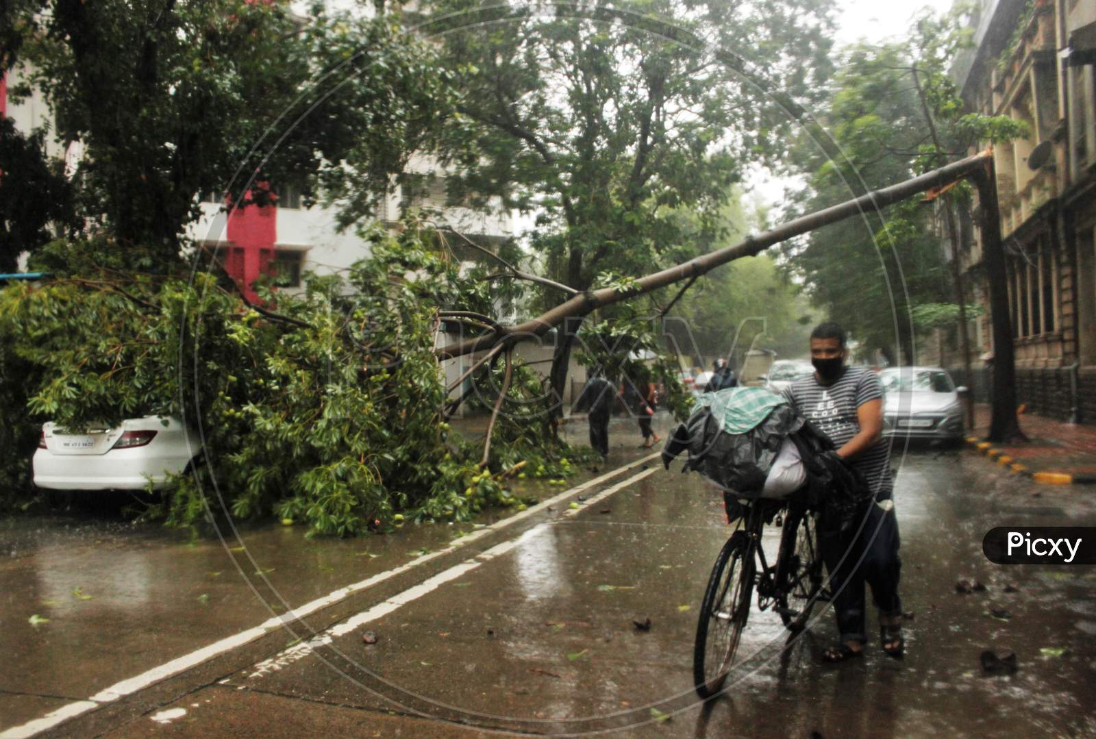 A man walks past a fallen tree, during heavy rains, in Mumbai, India on July 7, 2020.