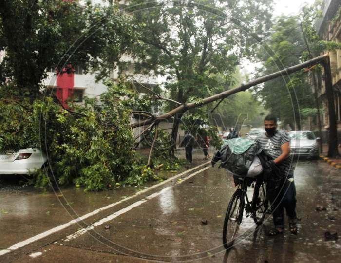 A man walks past a fallen tree, during heavy rains, in Mumbai, India on July 7, 2020.