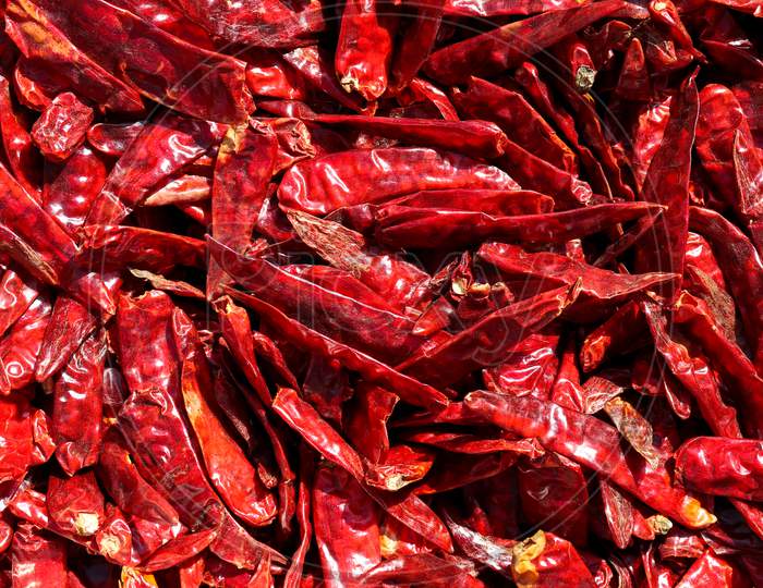 Pile of dried hot red chilies or chilli cayenne pepper for making chili powder spices background.