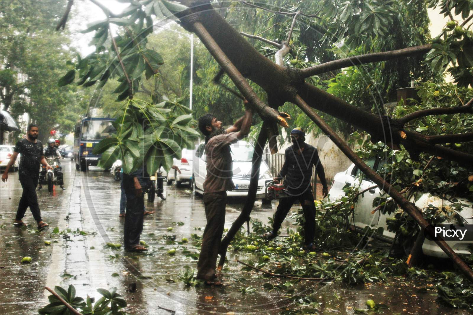 A man cuts the branches of a tree as he attempts to remove it after it fell on a car during heavy rains in Mumbai, India on July 7, 2020.