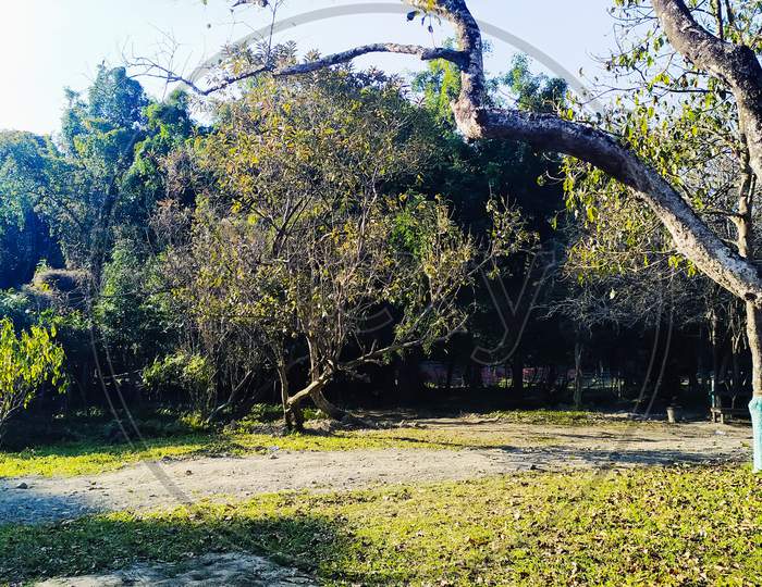 The Chakpa Fayeng forest ecological park