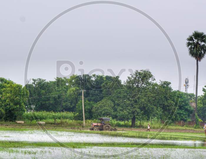 Tractor ploughing and making field ready for paddy cultivation