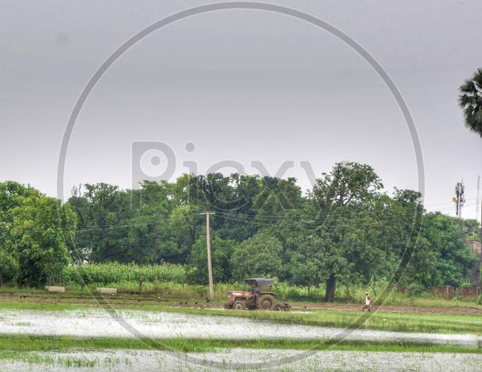Tractor ploughing and making field ready for paddy cultivation