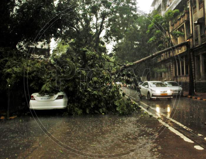 A car drives past a tree that fell on a car during heavy rains, in Mumbai, India on July 7, 2020.