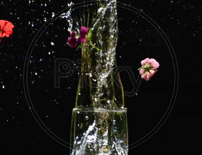 Beautiful Closeup Photograph Of Water Splash.