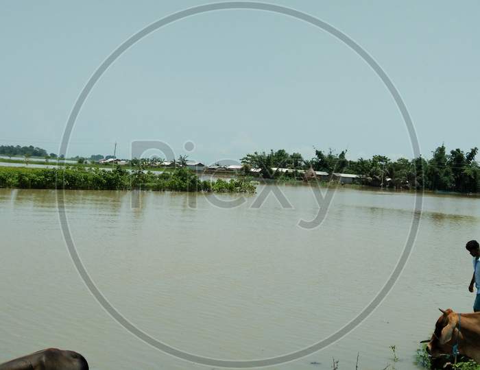 Assam flooded village, brahmaputra river Flood