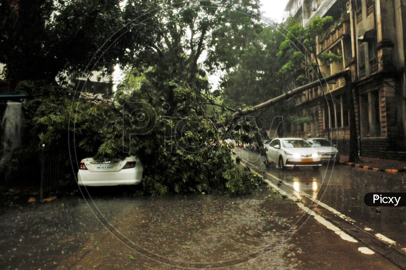 A car drives past a tree that fell on a car during heavy rains, in Mumbai, India on July 7, 2020.