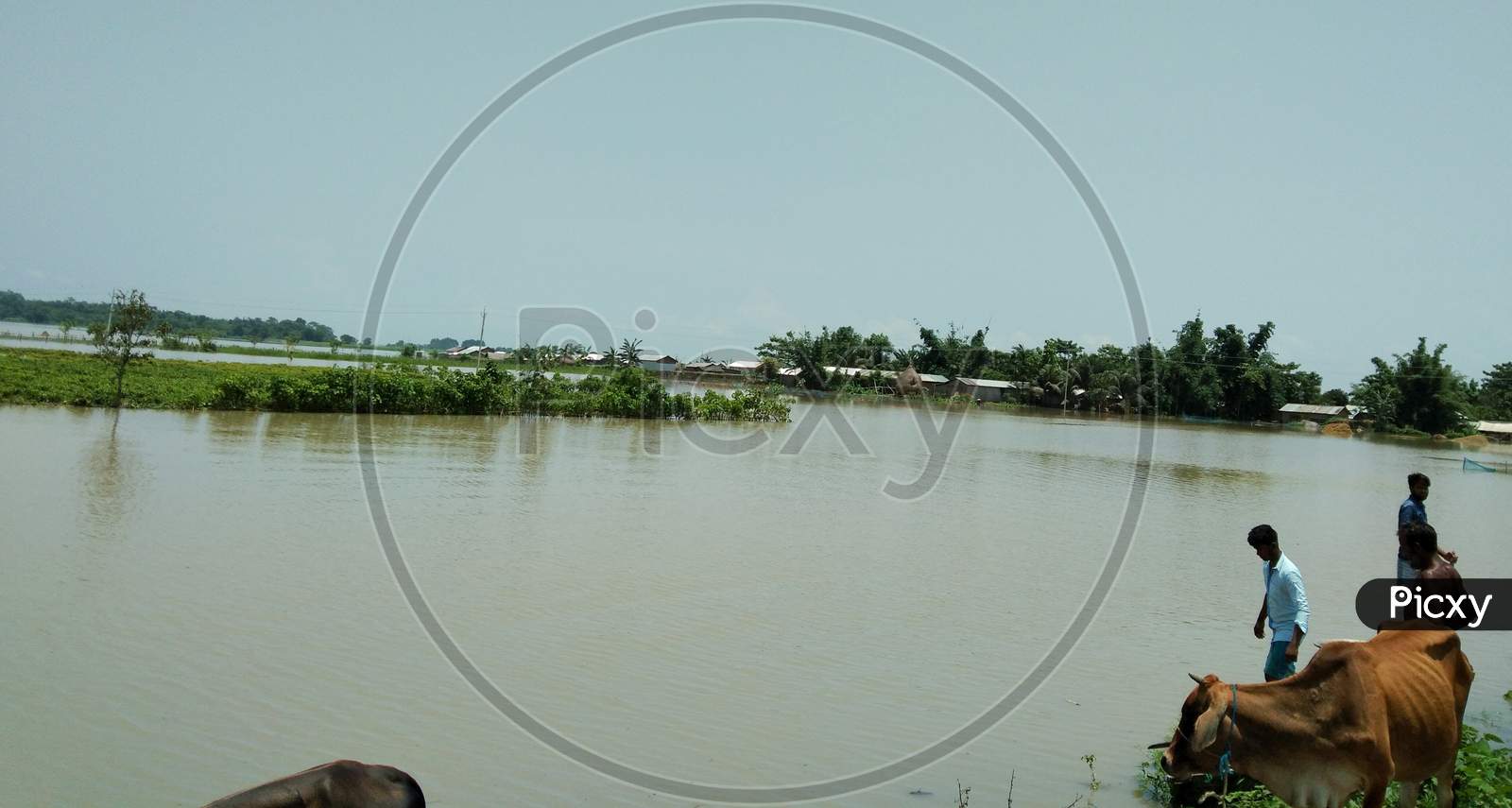 Assam flooded village, brahmaputra river Flood