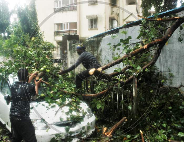 People cut the branches of a tree that collapsed on a car, during rains, in Mumbai, India on July 7, 2020.