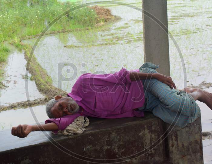 A farmer taking quick nap after work