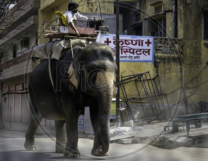 Jaipur, India - October 21, 2012: A Domestic Elephant Ride By A Man On A Busy Street