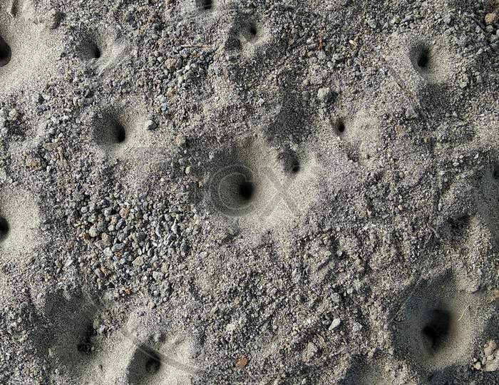 Antlion pits,Photography,sand,small creature