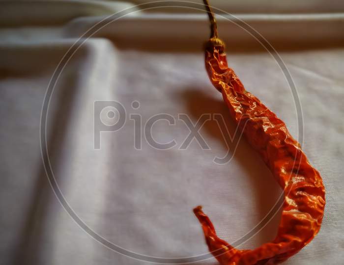Mexican red chilly pepper on silk fabric