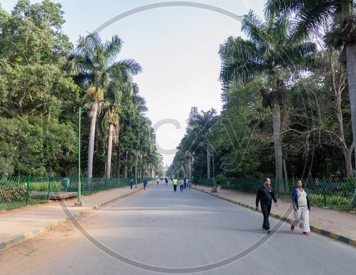 Cubbon Park,Bangalore,India-30Th November 2019 - Couples Going Morning Walk At Cubbon Park In The Morning